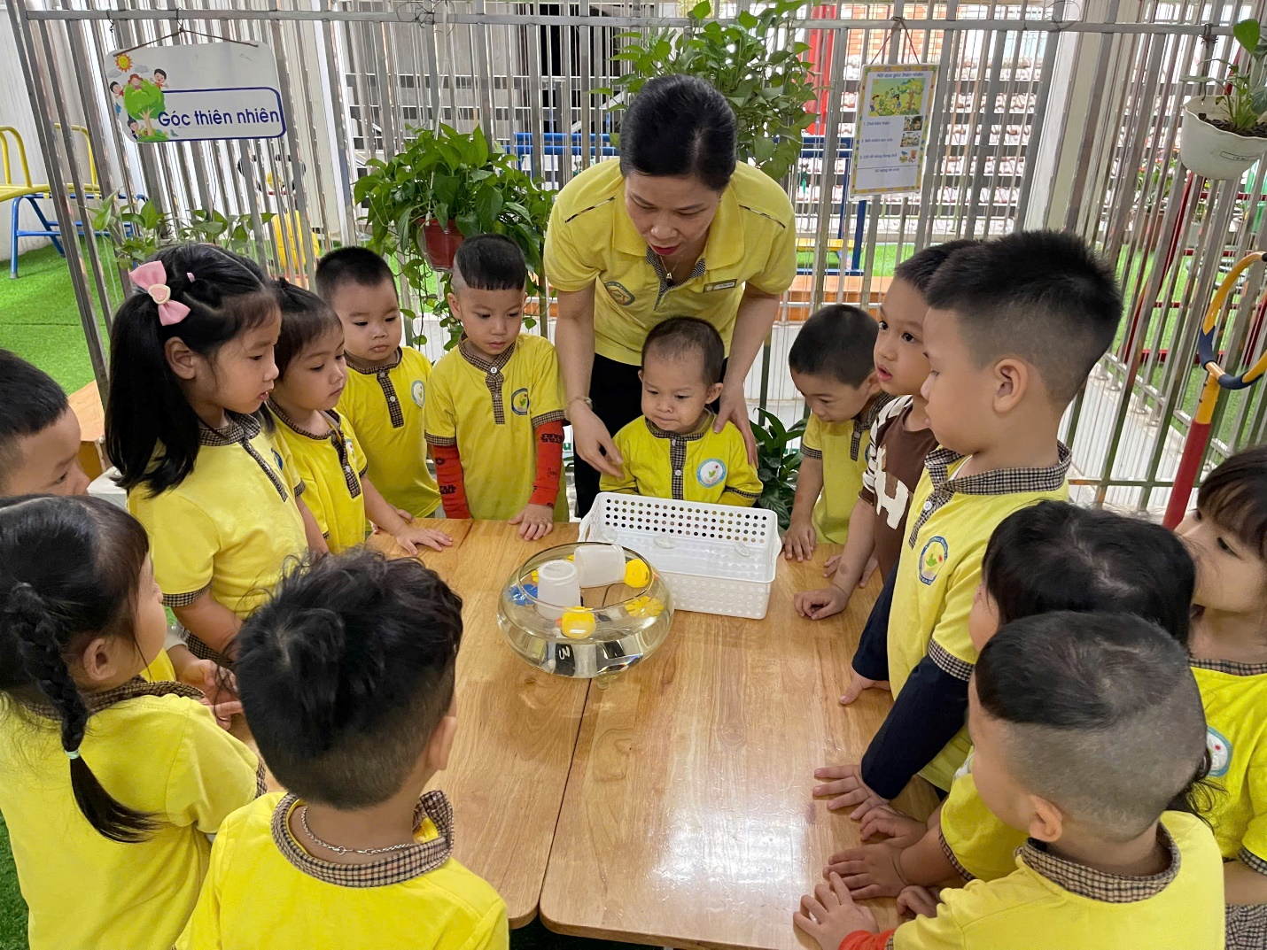 E:\D\2024 - 2025\8. ẢNH HỌC SINH 2024 - 2025\ẢNH HS 2024 - 2025\3. HĐ HỌC\THÁNG 10\THÍ NGHIỆM\z6021643152361_509cb323c9de44a735215d87e0e242fc.jpg