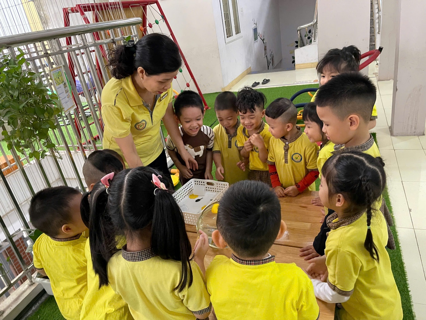 E:\D\2024 - 2025\8. ẢNH HỌC SINH 2024 - 2025\ẢNH HS 2024 - 2025\3. HĐ HỌC\THÁNG 10\THÍ NGHIỆM\z6021642677452_2621d322cb89101ddfa83cae1db0c640.jpg