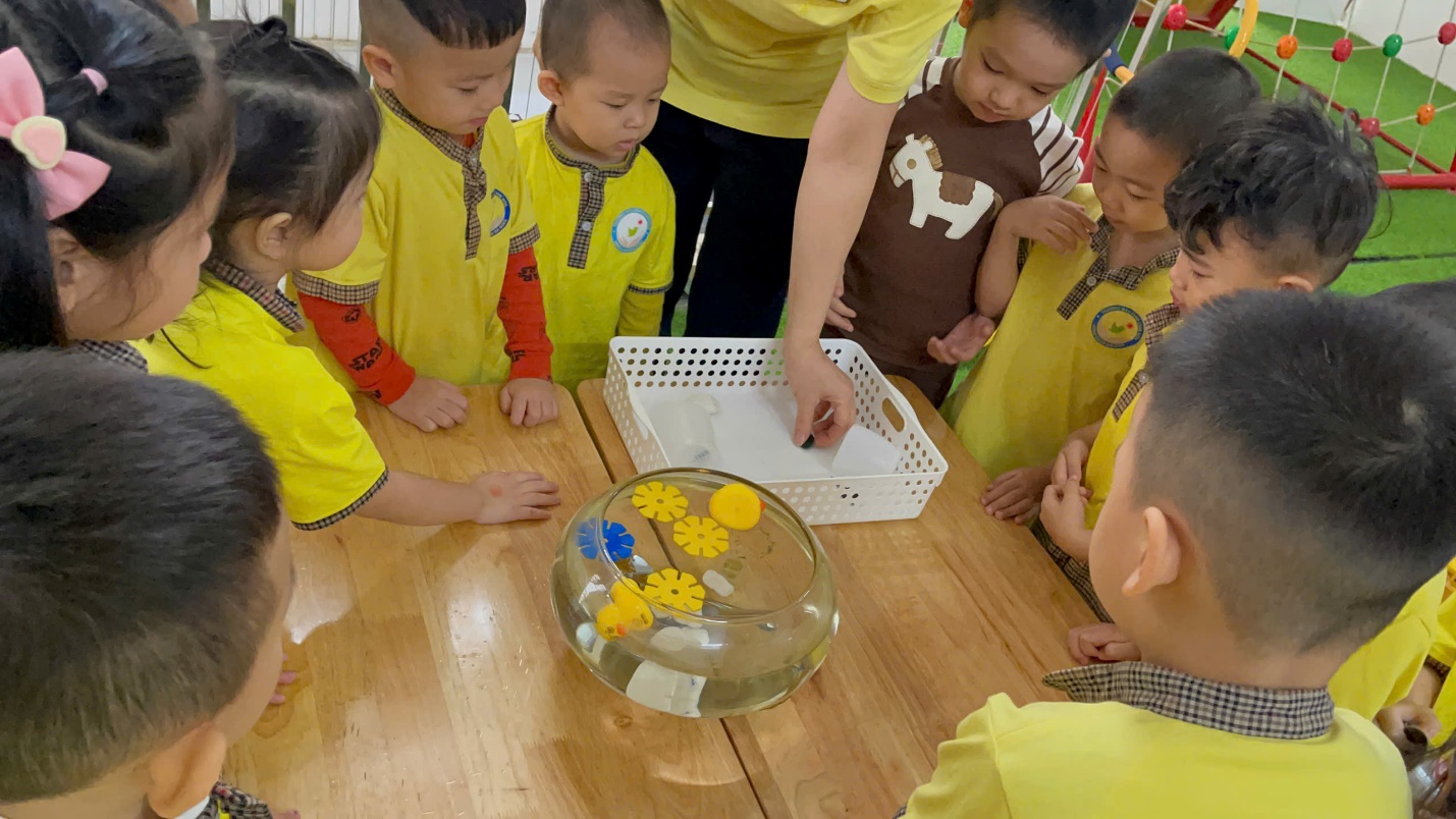 E:\D\2024 - 2025\8. ẢNH HỌC SINH 2024 - 2025\ẢNH HS 2024 - 2025\3. HĐ HỌC\THÁNG 10\THÍ NGHIỆM\z6021642733921_3e97c0bd9970e4ff889162adc8af61ae.jpg