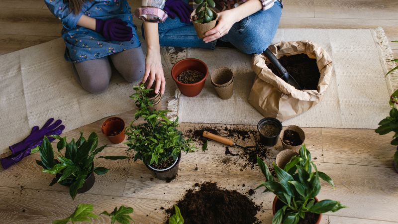 Duy trì vận động