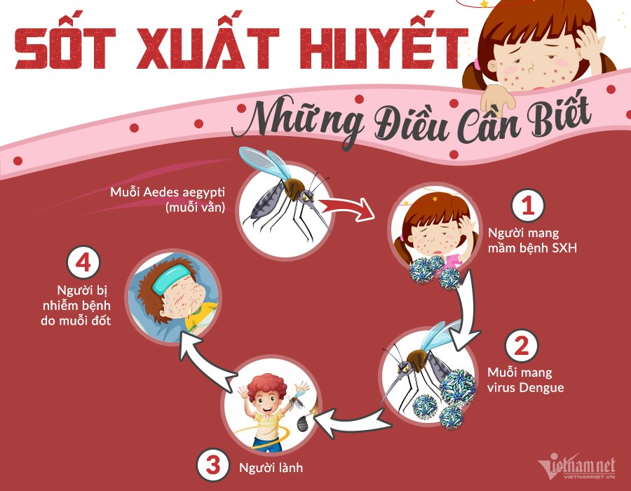 TÌM HIỂU VỀ SỐT XUẤT HUYẾT | TRẠM Y TẾ PHƯỜNG 04, QUẬN 11
