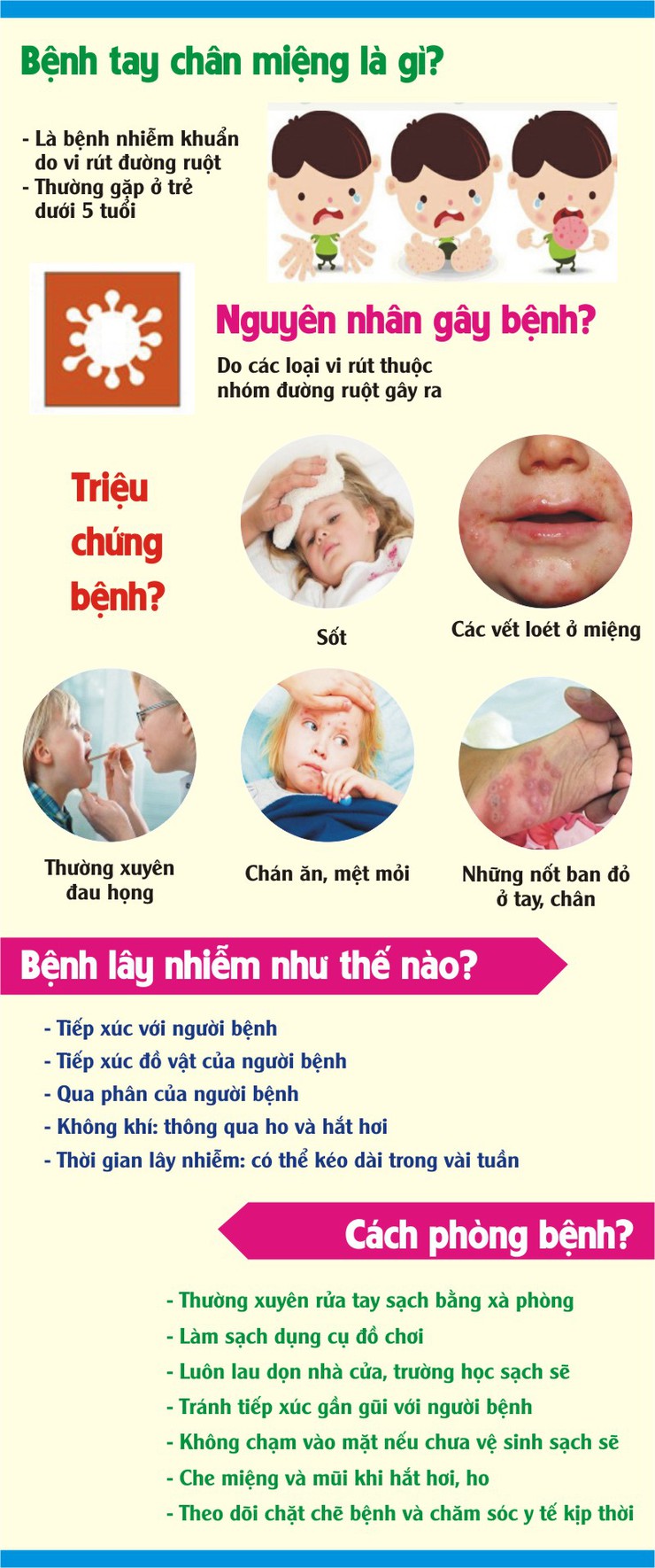 Những điều cần biết để phòng, chống bệnh tay chân miệng- Ảnh 1.