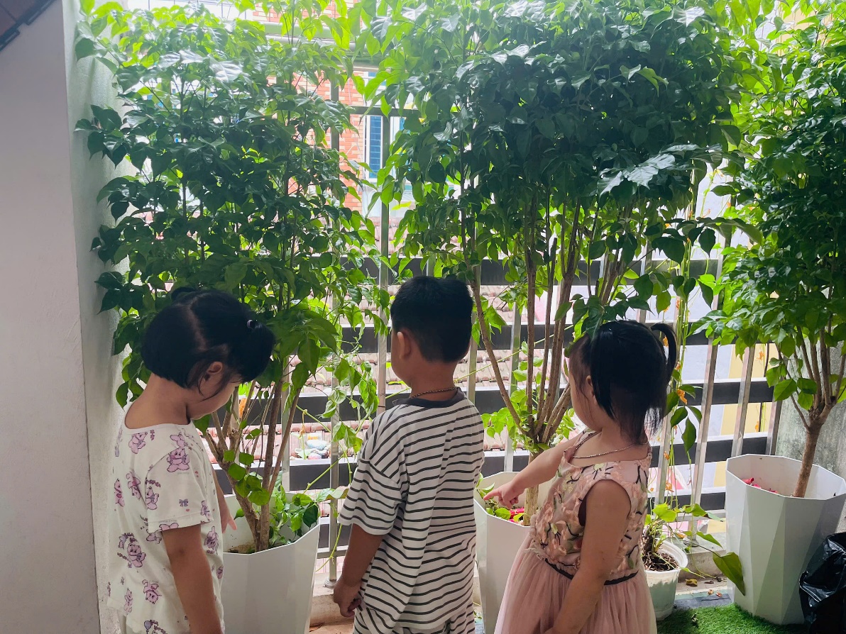 E:\D\2026 - 2027\ẢNH LỚP\HOẠT ĐỘNG NGOÀI TRỜI\THÁNG 9\1788941754100_501077186183647521_g3702290897611747764_685513a577f8895d9c0d186e549b6193.jpg